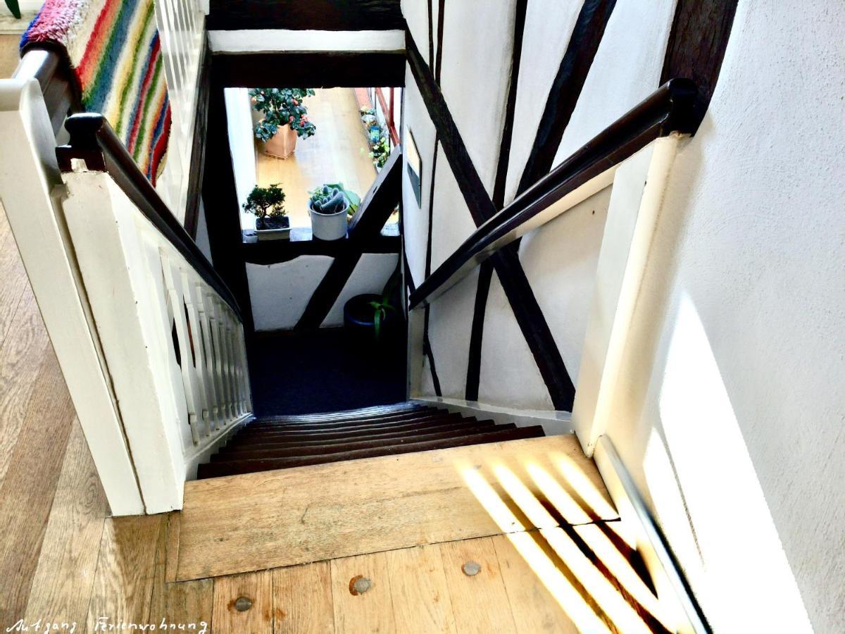 ImmenhausenDr. Fabian Und Christine Drubeアパートメント エクステリア 写真